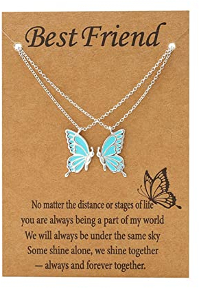 RIXERKOC Freundschaftsketten BFF Ketten für 2 Geschenke für Mädchen Halskette Schmuck Long Distance Geburtstag Weihnachten Geschenke für Frauen Mädchen Schwestern (Silber-Blauer Schmetterling)