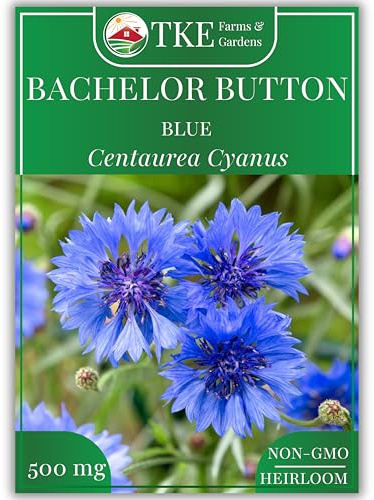TKE Farms & Gardens - Blue Cornflower Seeds for Planting, 500+ Heirloom Non-GMO Bachelor Button Seeds, Instructions Included, Stunning Blue Blooms for Gardens & Bouquets, Attracts Pollinators, Qty 1