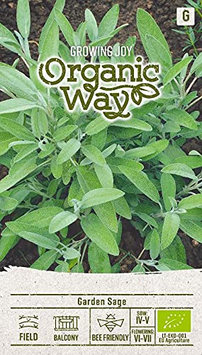 Organic Way | SALBEI des Graines | Graines de Sauge | Graines de Plantes | Graines de Jardin | 1 Paquet