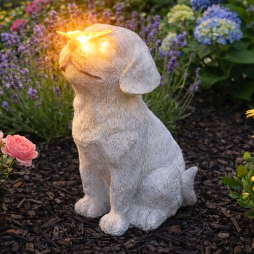 Festive Lights Lapide commemorativa da 20 cm con illuminazione LED solare per cani con farfalla, decorazione per tomba, resistente agli agenti atmosferici, pietra tombale, lumina solare, pietra