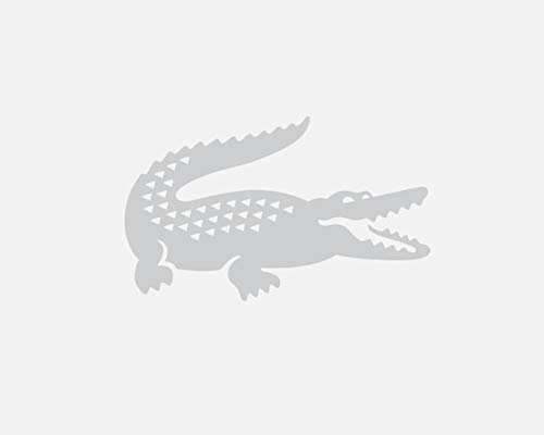 Lacoste Ph6785 Polo, Bianco (Farine/Aucuba Xns), Medium (Taglia Produttore: 4) Uomo