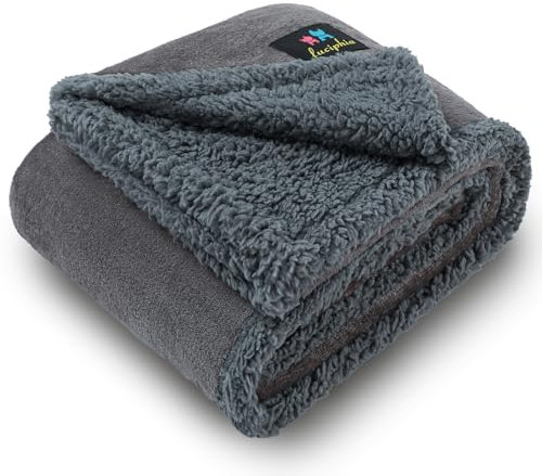 luciphia wasserdichte Hundedecke, Hunde Decke für Hund Katzen Groß Waschbar, Haustierdecke Wasserfeste Flauschig Sherpa Fleece, Wasserdicht Decke für Sofa Couch Bett, Lichtgrau S (71 * 102cm)