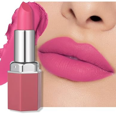 Erinde Rossetto opaco, impermeabile, rossetto rosa a lunga durata, durata 24 ore, idratante permanente, altamente pigmentato