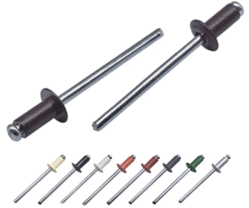 Confezione da 100 rivetti ciechi verniciati 4,0 x 10 mm, testa a cupola, DIN 7337, rivetti in alluminio e mandrino in acciaio, rivetti pop (100, grigio marrone RAL 8019)