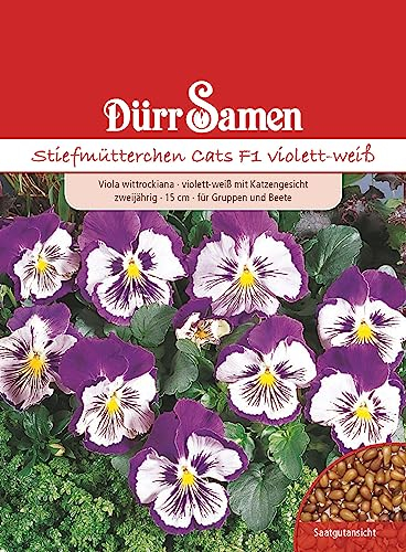 Stiefmütterchen Samen Violett Weiß Cats F1 Stiefmütterchensamen Veilchen ca 25 Korn Saatgut Blumensamen Garten Hochbeet Balkonkasten Kübel Dürr Samen