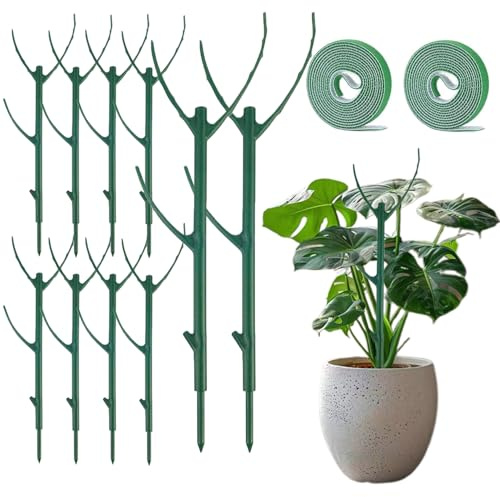 10PCS Monstera Plant Support, Stackable Plant Stakes for Indoor Plants, Plant Sticks Support Tall for Climbing Potted Plants