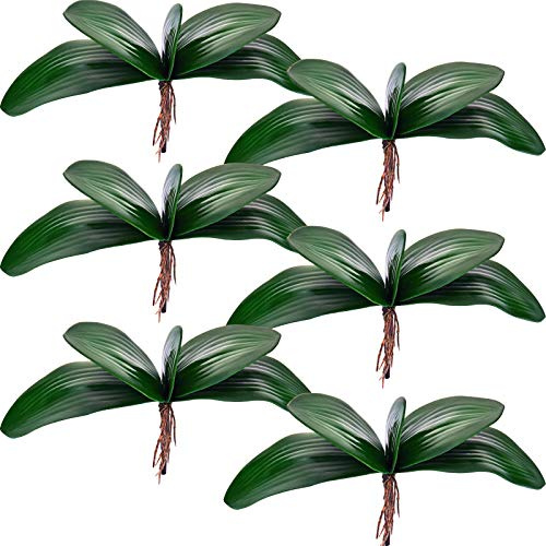 Chuangdi 6 Pcs Faux Orchid Leaves Artificial Orchids Leaves Phalaenopsis Stems Leaf Green Leaf Plants Green Faux Stem Latex Cymbidium Stems for Flowers Arrangements Pot Decoration