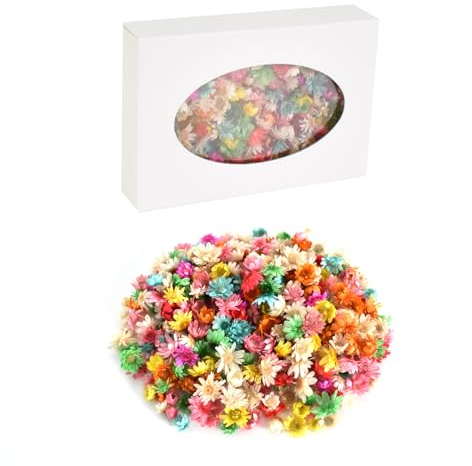 200 Piezas Flores secas Naturales, Cabeza de Flor Seca, Flores Secas Decoracion Pequeñas, Brasil Pequeña Estrella Flor, Margarita Seca para Resina Epoxi, Fabricación de Velas, Bricolaje (B)
