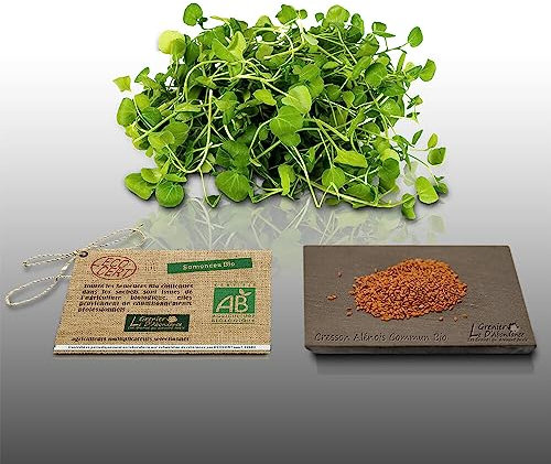 1000 graines Bio à semer - Le Grenier d'Abondance - CRESSON Alénois commun - Certifié AB - Lepidium sativum