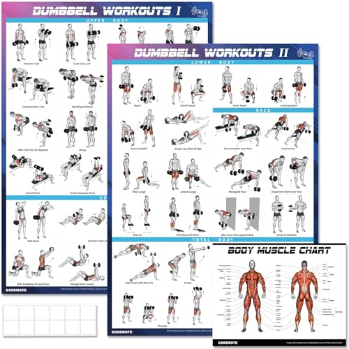 Hantel träning poster set (2-pack) – laminerade träningstabeller för hemmagym, volym I & II – 45 x 61 cm med förstorade hantelövningsillustrationer