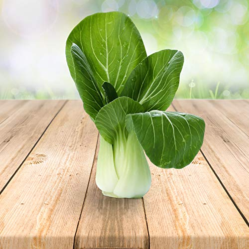 Pak Choi 250 x graines - Du Portugal 100% Naturel Sans Aide à La Culture Chimique Ni Génie Génétique, Juste de la Nature Pure