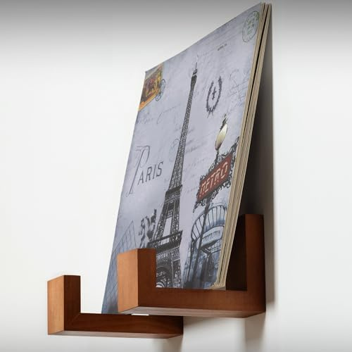 Big Fudge Soporte de madera de vinilo, estantes de pared para discos de vinilo, almacenamiento de álbumes para montaje en pared de vinilo LP para pared, capacidad para 15 discos por estante, juego de