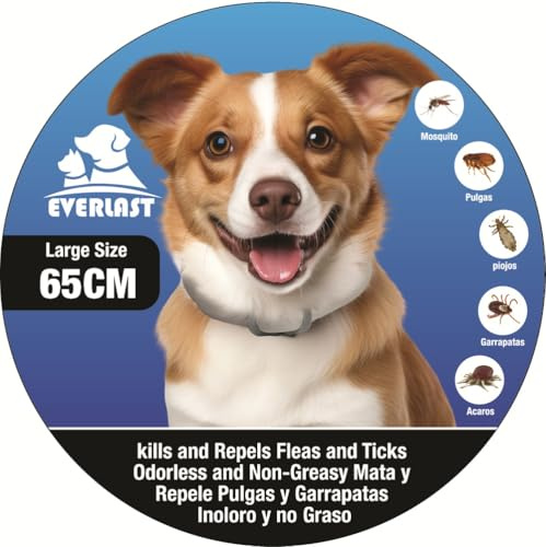 Tempotech ® Tempotech ® Collier Antiparasitaire Chien | Anti Puces et Tiques | 65 cm Réglable Efficace et Sûr Convient à Différentes Tailles (1 Unidad)