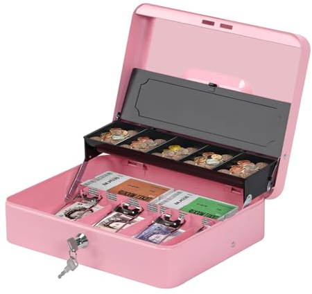 ABQ Double-Layer Metal Cash Box with Key Lock, 11.8 x 9.4 x 3.5 Inch Portable Note & Coin Safe Box, Large Money Box with 2 Keys for Home, Office, Business(Pink)