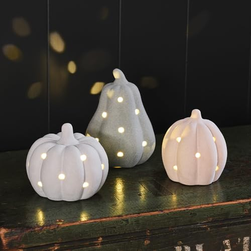Lights4fun 3er Set LED Kürbis aus Stein Batteriebetrieb Halloween Deko Herbst Dekoration Neutral Halloween Kürbis Innen
