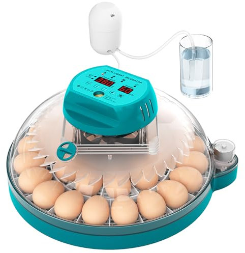 Chalixion Brutautomat Vollautomatisch mit Feuchtigkeitsregelung, 2 automatische Wendemodi, Brutkasten Hühner für 30 Eier mit Temperaturregelung für Hühner, Wachteln und Vögel, Eierdurchleuchter