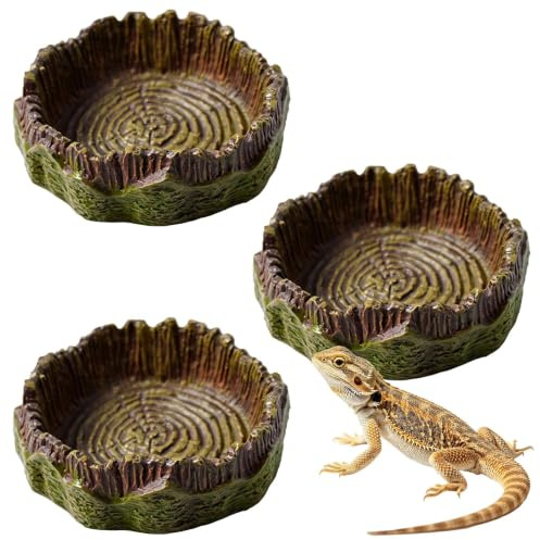 Chovize 3Pcs Reptile Water Bowl Food Dish Set, 7x7x2cm Small Tortoise Accessories for Bearded Dragon, Leopard Gecko, Lizard, Snake, Frog, Hermit Crab - Natural Rock Design Terrarium Feeding Plate