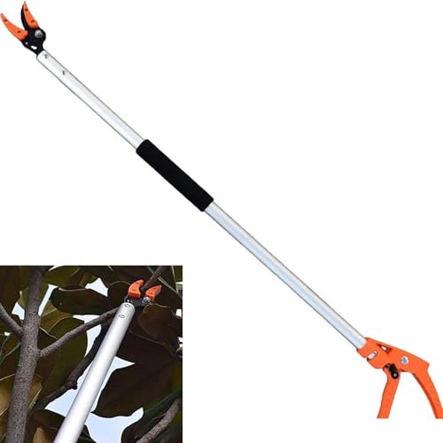 Poteau Télescopique Pour Cueilleur Fruits, Sécateur À Longue Portée, Sécateur Arbre Extensible, 0.6m Poteau Coupe Arbre, Coupe-branches Arbre À Courte Portée, Sécateur Pour Couper Et Maintenir Jardin