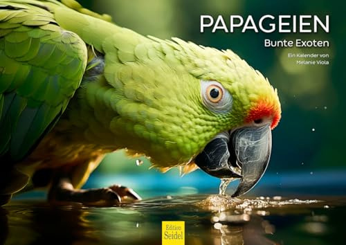 Edition Seidel Calendario premium de loros coloridos exóticos 2026, formato DIN A4, calendario de pared, calendario de animales, papagayo, cacatúa, pájaros, melanie viola