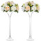 2 Stück Glastrompete Vase Langen Stiel Martini Vasen Glas Hochzeit Tischdekoration 40cm Höhe für Heimtextilien Display Bankett Party-Events Geburtstag Jubiläum Empfang Baby-Dusche