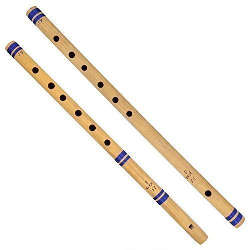 Whitewhale, set di flauti indiani in bambù, include 2 flauti: Fipple & Transverse, strumenti musicali indiani per uso professionale