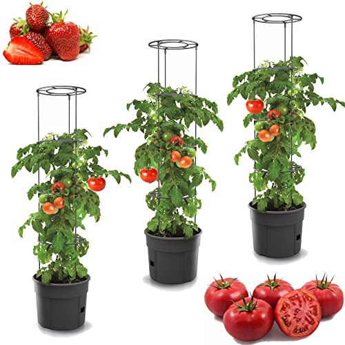 3 x tomatkrukor, planteringskrukor, set med 3 stycken tomatodlingskrukor på 12 l, överkruka, grönsaker, tomater