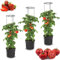 botle 3X Tomatenpflanze Blumentopf für Tomaten Set 3 STK Pflanzkübel 12 L, Tomatenzüchter, Tomatentopf, Übertopf, Gemüsen, Tomaten Waschen