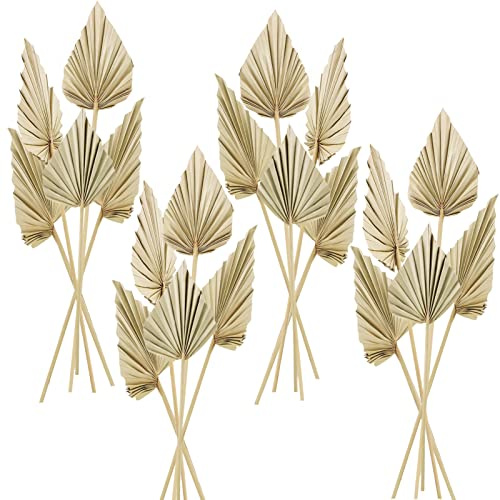 Cenkaiyang 20 Pcs Boho Dried Palm Spears Leaves, Real Palm Fans with Stem, Boho Home Decor for Vase, Wedding, Office, Home (20 Pieces)