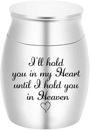 Lot de 2 mini boîtes à cendres funéraires en acier inoxydable pour petits animaux (argenté)