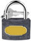 Padlock Cast Iron Safety Security Shackle Includes 2 Keys Heavy Duty Outdoor Safety Lock Ideal Locks for Ladders Shutter Doors Tools Home Sheds and Garage (40mm)