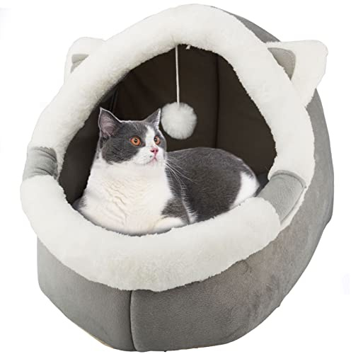 Cuccia per gatti per interni con giocattolo appeso, cuccia per cani di piccola taglia con antiscivolo, cuscino imbottito rimovibile, super morbido, calmante, ideale per gatti, cuccioli