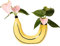 Banane Vase Einzigartige Frucht Form Harz Vase Home Dekoration Kreative Blumenanordnung für Wohnzimmer/Esstisch Mittelstück Ornamente