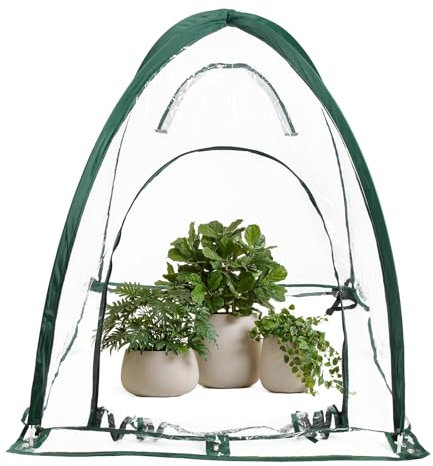 Hydrogarden Pop Up Gewächshaus Foliengewächshaus 92x92x100 cm - Treibhaus mit Reißverschluss Tür und Metallrahmen - Frühbeet Tomatengewächshaus Anzucht Zelt - Tomatenzelt durchsichtig, faltbar