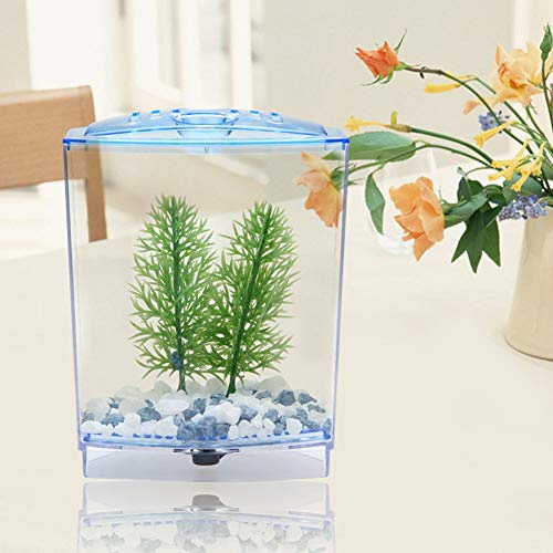 Leftwei Miniakvarium, mini akvarium transparent vattenväxter inkubator (enkel)