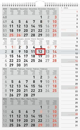 rido/idé 4-Monatskalender 2026 | grau, 300×490 mm
