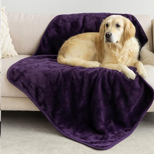 Dreamzie - Plaid Imperméable Chien 100x120 cm - Couverture Imperméable Réversible - pour Lit et Canapé Chien, en Polaire Sherpa - Lavable - Noir