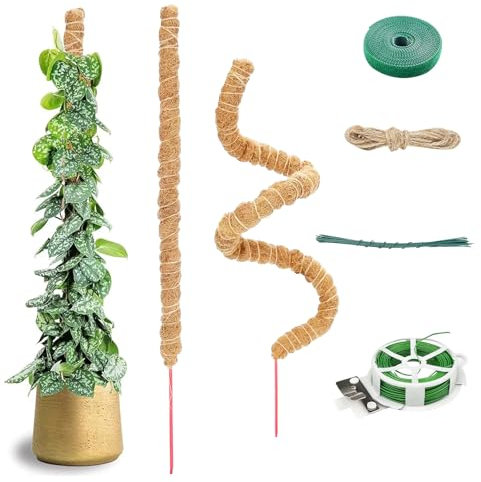 Chiluxendo 2 Pezzi 60cm Sostegno per Piante Rampicanti Pieghevole, Palo di Sfagno, Supporto Monstera, Moss Pole, Tutore Muschiato, Fibra di Cocco per Monstera