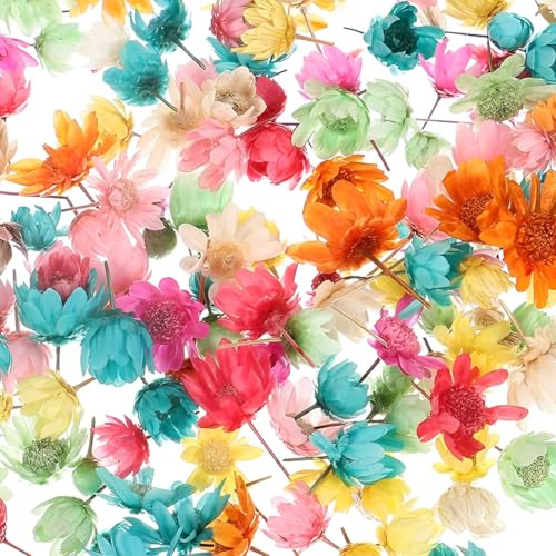 XOXVURI 200 Pcs Petites Fleurs Séchées Pour L'Artisanat Mini Fleurs Séchées Naturelles En Vrac Pour Diy Nail Art Fabrication De Bougies En Résine Scrapbooking Décoration Quotidienne De La Maison
