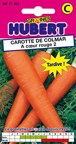 Graines de Carotte de Colmar à Coeur Rouge - 6 grammes