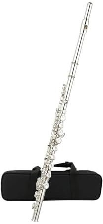 tvärflöjt instrument Flöjtinstrument 16 hål nybörjare vuxen flöjtinstrument