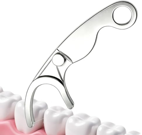 Plettro per filo interdentale riutilizzabile in acciaio inox, 6 x 2 cm, portatile, con portachiavi, bastoncini per la cura dei denti, mantiene la bocca libera e pulita per viaggi, casa, ufficio