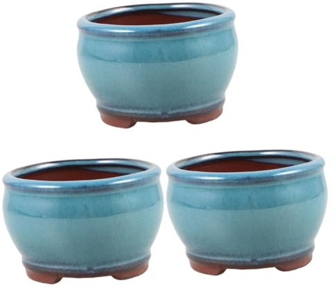 YARNOW 3 Piezas Planta Suculenta En Maceta De Espárragos Jardinera Decorativa Maceta De Escritorio Decorativa para Plantas Suculentas De Cactus Arcilla Morada