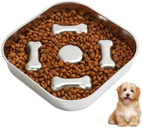 Ciotola Anti Ingozzamento Ciotola Cani Durevole Acciaio Inox, 21x21cm