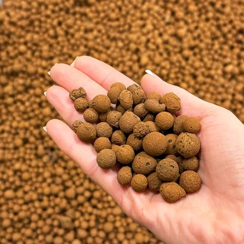 bhomescent Clay Pebbles for hydroponics (5L)