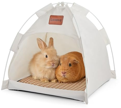 Luvore Tenda per animali domestici, 40 x 40 x 37 cm, tenda per cani e gatti, con cuscino, nessuna installazione necessaria, portatile e lavabile, per gattini, cuccioli