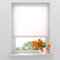 Rollo Easy Mini - Lichtdurchlässig - Weiß - 75 x 150