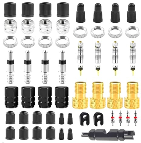 Juego de adaptadores de válvula de Bicicleta, 55 Piezas, Presta a Schrader Adaptador de válvula de Bicicleta, Kit de Reparación, eléctricas y patinetes, tubeless