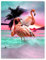 Dick Decke Weich Wärme Gemütlich Flanell-Fleece Sofadecke Deckeldecke Die schöne rosa Flamingos Sonnenuntergang kokospalmen 125 x 200 cm