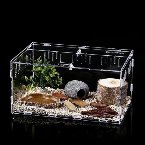 xixibuy Terrario reptiles, Terrario plantas, Terrario insectos, Terrario tortugas de tierra, Caja de alimentación para Reptiles, transparente(acrílico-30*20*15cm)