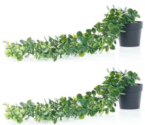 Valyria Home - 2 Pcs Planta Artificial Colgante con Maceta 63cm - Decoración del Hogar - Planta Colgante de Plastico con Maceta - Diseño Realista para Boda Jardín Balcón Dormitorio